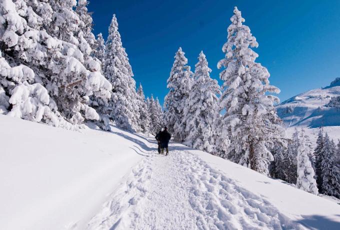 Votre studio balnéo bien-être à la montagne Thollon-les-Memises Exterior foto
